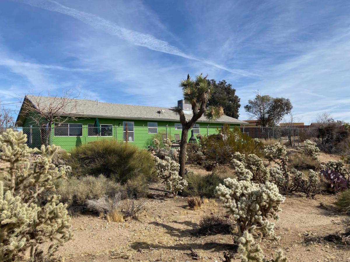 Desert Oasis - Joshua Tree Peaceful Retreat Home Юкка-Вэлли Экстерьер фото